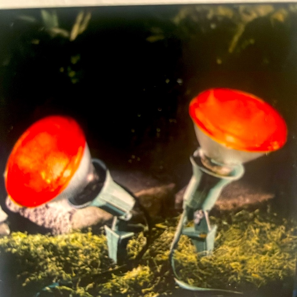2/$30 PAR38 Red Light Bulb. Flood Light Bulb. Holiday Lighting. Security Light